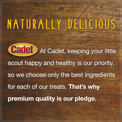 Cadet Beef Sticks Dog Treats - Long-Lasting, Healthy & Natural Beef Esophagus Treats for Small & Large Dogs, 12 oz.
