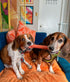 Nylabone Power Chew Classic Bone Chew Toy for Dogs, Bacon Flavor, Large/Giant - Up to 50 lbs. (1 Count)