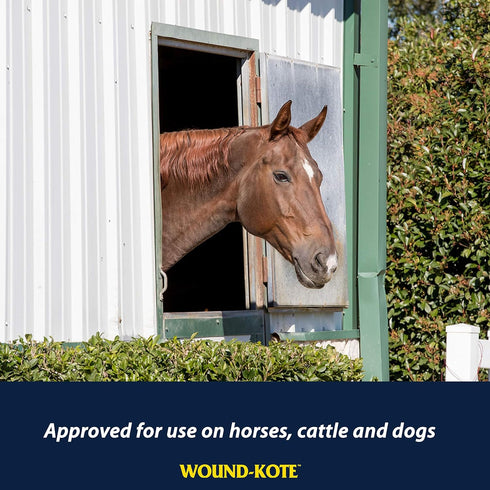 Farnam Wound-Kote Blue Lotion Spray, 5 Oz, Horse Wound Care for Minor Wounds, Cuts, and Sores