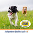 ProSense 90 Count, (P-87039) Vitamin Solutions Chewable Tablets for Dogs, Helps Support Overall Wellness