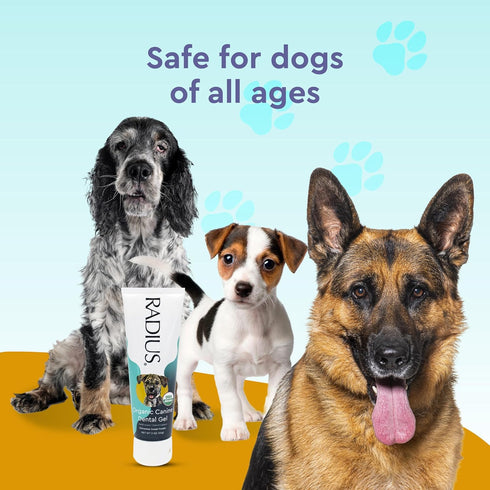 RADIUS USDA Organic Canine Pet Toothpaste 2 Units, 3 oz | Non Toxic Toothpaste for Dogs, Prevent Tartar and Plaque