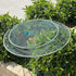 Compact Foldable Crab Fishing Net & Basket for Minnows, Crawfish, and Shrimp