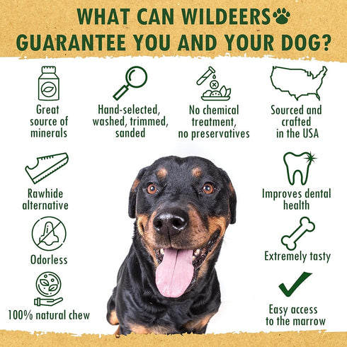 Wildeers Large Split Antlers for Dogs, 3-Pack, Made in USA, Grade A Elk Chews for Medium & Large Breeds, 7-9 in Long