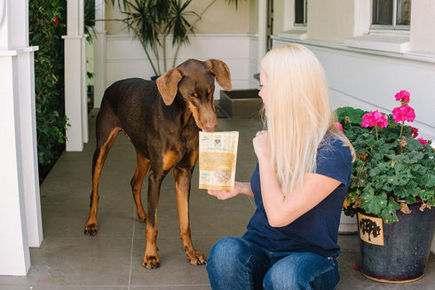 Freeze Dried Superfood Snacks for Dogs, Pumpkin + Kale, All Natural Dog Treat