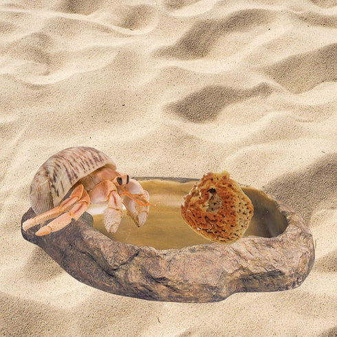 Pack 25 Needzo Hermit Crab Natural Sponge for Water Dish, Drinking and Tank Humidity, Size May Vary