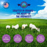 Shepherd Boy Farms Freeze Dried Raw Goats Milk with Probiotics for Dogs & Cats, Organic USA Fruits, High Protein Food