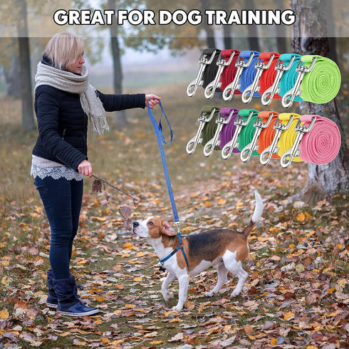 12 Pcs Nylon Dog Leash Bulk, 5ft Dog Training Leash in 12 Colors for Small Medium Dogs, Training, Play, Camping (Bright