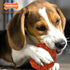 Nylabone Strong Chew Ring Braided Toy for Dogs, Beef Flavor, Medium/Wolf (1 Count)