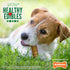 Nylabone Healthy Edibles Natural Dog Chews, Long Lasting Turkey & Apple Flavor, Small/Regular