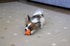 Bumpy Bouncy Solid Rubber Ball, Great Chew Toy for Teething Puppies, Orange