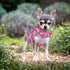 Mile High Life Dog Harness, Air Mesh Floral Vest for 20 lbs Small Dogs & Cats, Adjustable Easy Closures (Peony, XS)