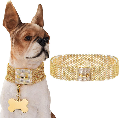 Dog Chain Collar Necklace 18K White Gold Plated Stainless Steel with Bling Bling CZ Design Secure Buckle (Gold, 14")
