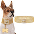 Dog Chain Collar Necklace 18K White Gold Plated Stainless Steel with Bling Bling CZ Design Secure Buckle (Gold, 14")