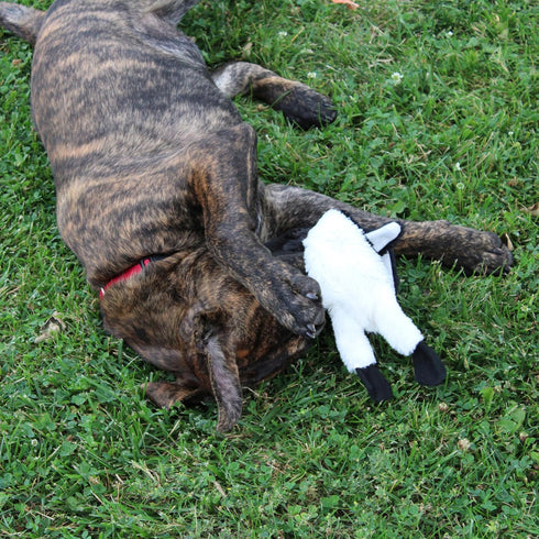 SPOT Skinneeez Stuffing Free Arctic Animal Dog Toy - Squeaker in Head and Tail, Great for Moderate Chewers