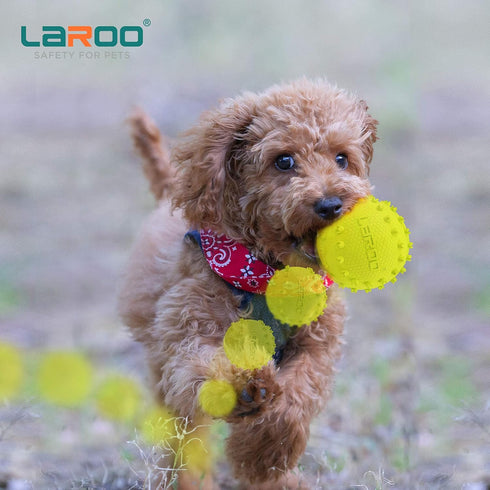 LaRoo Squeaky Dog Ball Toy, Durable Natural Rubber Chew Toy for Small Medium Large Dogs, Floating Training (6.5CM Green)