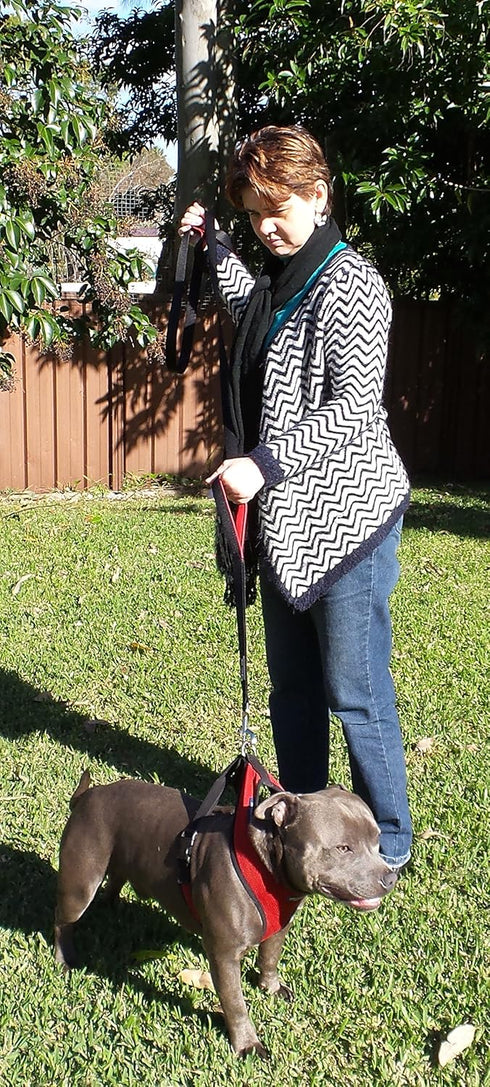 Dog Leash 6ft Long, Traffic Padded Two Handle, Heavy Duty Reflective Lead for Large or Medium Dogs
