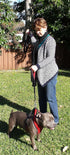 Dog Leash 6ft Long, Traffic Padded Two Handle, Heavy Duty Reflective Lead for Large or Medium Dogs