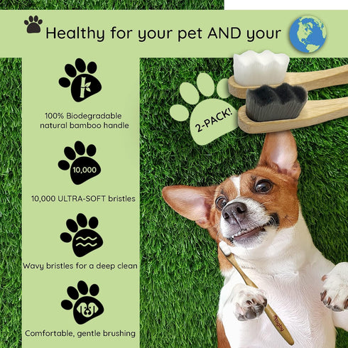 10,000 Dog Toothbrush- Ultra-Soft Bristles for Sensitive Pet Teeth & Gums- Natural Bamboo Toothbrush for Comfortable