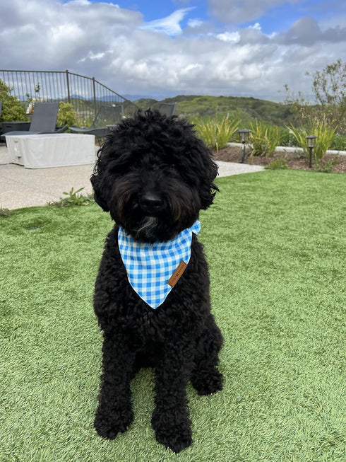 Luxury Dog Bandanas - Premium Silky Fabric Puppy Bandanas, 100% Handmade Quality, Custom Shape, Blue Checkers, Large