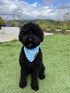 Luxury Dog Bandanas - Premium Silky Fabric Puppy Bandanas, 100% Handmade Quality, Custom Shape, Blue Checkers, Large
