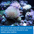 API MARINE COMPLETE TRACE Aquarium Water Conditioner - 16-Ounce Bottle