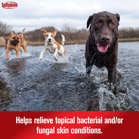 Sulfodene Dog Wound Care 3-Way Ointment, 2 Ounce, Relieves Pain & Prevents Infection