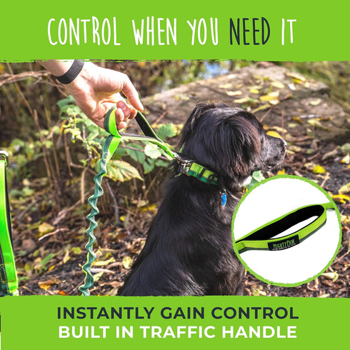 Mighty Paw Hands Free Dog Leash | Bungee Waist Leash for Walking, Running, Up to 150 lbs, 36" - 48"