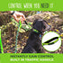Mighty Paw Hands Free Dog Leash | Bungee Waist Leash for Walking, Running, Up to 150 lbs, 36" - 48"