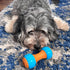 SPOT 5.5 Bam-Bones Plus Gigglers Dumbbell Durable Dog Chew Toy, for Medium Aggressive Chewers, Bamboo Fiber & Nylon