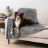 PetAmi Dog Blanket for Large Medium Dogs Grey, Soft Fluffy Sherpa Fleece Blanket for Cat & Dog, Washable 40x60