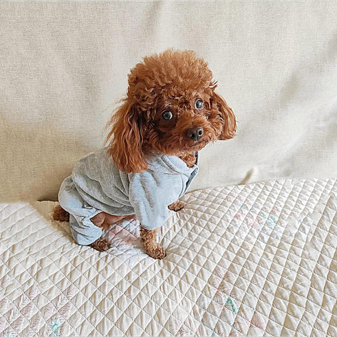 Dog Hoodie - Fleece Sweatshirt with Buttons, Cold Weather Coats, Winter Warm Cotton for Small Medium Large Dogs