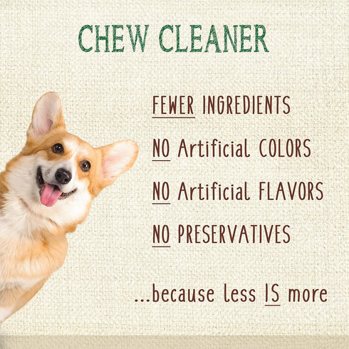 Nylabone Nutri Dent Dog Dental Chews - Natural Dog Teeth Cleaning & Breath Freshener - Filet Mignon Flavor, Mini (160