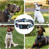 Floral Puppy Dog Collar for Boys Girls, Adjustable Soft Pet Collar with Safety Buckle for Small Medium Large Dogs