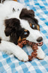 Nylabone Textured Ring Power Chew Toy for Large Dogs, X-Large - 50+ lbs, Durable Chew Bones, Flavor Medley