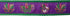 Preston Mardi Gras Dog Collar and Leash Set in Purple Ribbon on Green Nylon Webbing (Extra Small)