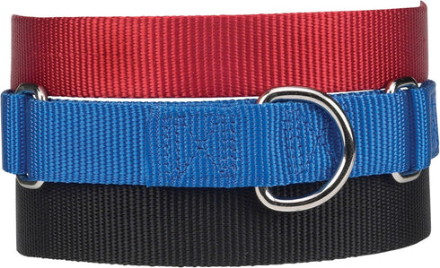 Guardian Gear Nylon Martingale Dog Collar, Fits Necks 14" to 20", Blue