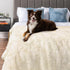 PetAmi Waterproof Dog Blanket 29x40 Cream Beige, Calming Fleece Cat Blanket, Washable Sherpa Faux Fur Throw