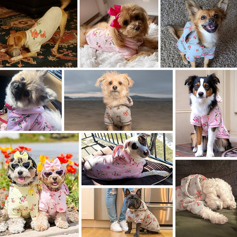Blueberry Pet Floral Dog Hoodie, Rose Print Pullover Sweatshirt for Small Dogs, 10" Back Length, Stylish Grey