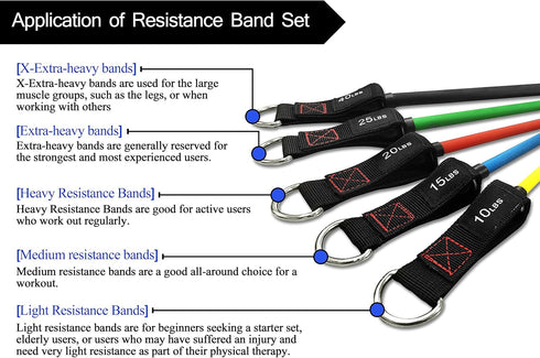 TheFitLife Exercise Resistance Bands with Handles, 5 Stackable Fitness Workout Bands, Carry Bag Included