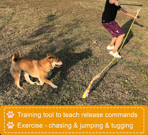 Dewonch Flirt Pole Dog Toys for Training & Exercise, Durable Teaser Stick with Fleece Rope Lure