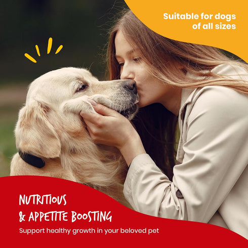 Beefeaters Chicken Jerky Strips, 24oz - 1 Count (Pack of 1)