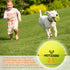 Dog Tennis Balls - 12 Pack 2.5" Squeaky Interactive Toys for Small Medium Large Dogs - Bounce Rubber for Training
