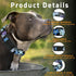 Floral Puppy Collar for Boys Girls, Adjustable Soft Pet Collar for Small Medium Large Dogs (Purple Floral, XL)