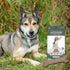 Antler and Himalayan Cheese Dog Chew, Long Lasting, 100% Natural, for Dogs 45 Lbs & Smaller
