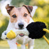 rocket & rex 3-Pack Dog Chew Toy Gift Set - Rope Toy, Rubber Squeaker, and Plush Ball for Small to Medium Breeds