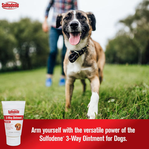 Sulfodene Dog Wound Care 3-Way Ointment, 2 Ounce, Relieves Pain & Prevents Infection