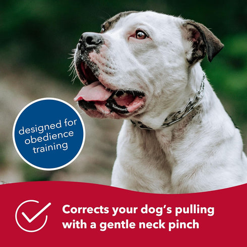 Herm Sprenger Ultra-Plus Prong Dog Training Collar - 20" Neck Size, 3.2 mm x 22" Chain Length, Steel Chrome Plated
