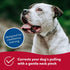 Herm Sprenger Ultra-Plus Prong Dog Training Collar - 20" Neck Size, 3.2 mm x 22" Chain Length, Steel Chrome Plated