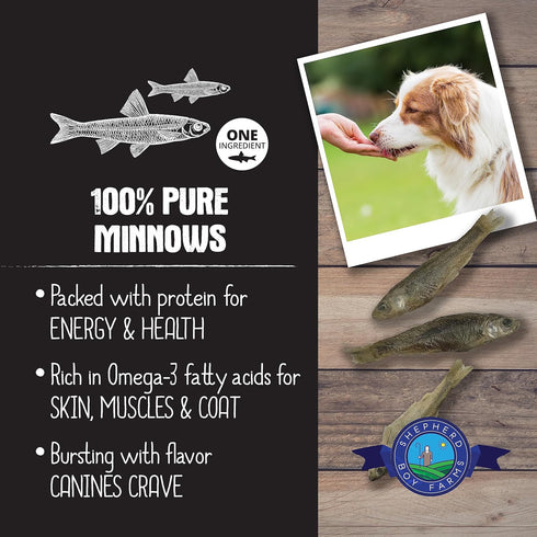 Freeze Dried Dog Treats, Minnows, All Natural Freeze-Dried Dog Treat & Dog Snacks, Made in USA, High in Protein, Essential Nutrition of Raw Dog Food, 2oz
