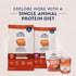 4 lb (Pack 1) Natural Balance Limited Ingredient Grain Free Salmon & Sweet Potato Dry Dog Food, Sensitive Stomach